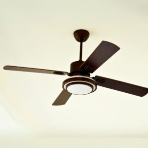 Ceiling Fan